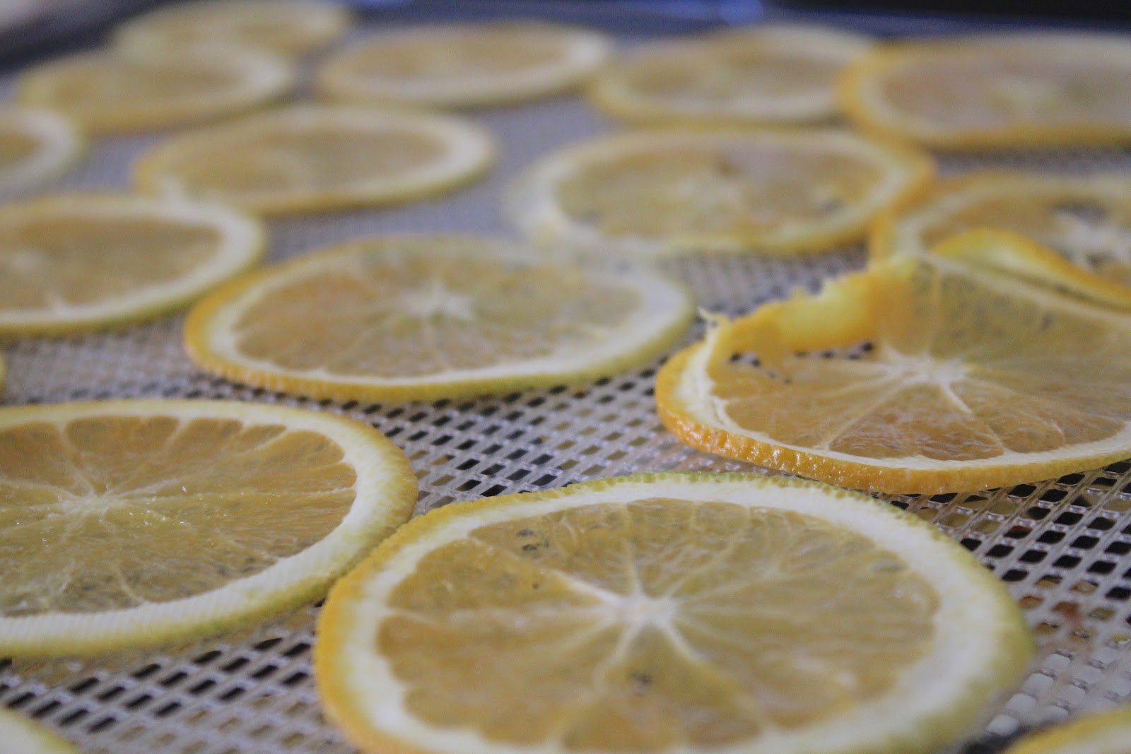 Ticketyboo Health Coaching Dehydrating fruit