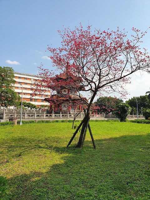 【開箱】Galaxy S10 絢光白@10力雄厚、十週年旗艦新作