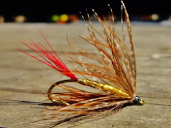 soft hackle classic journal flies professor steven tied bird wet