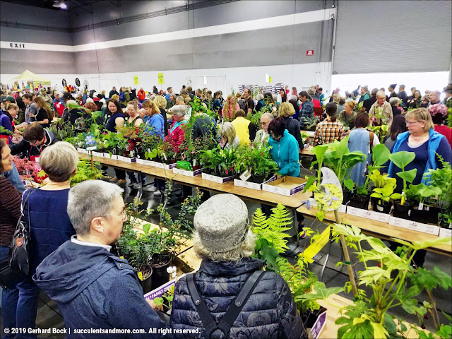 Hortlandia in Portland: passionate plantaholics and crazy crowds