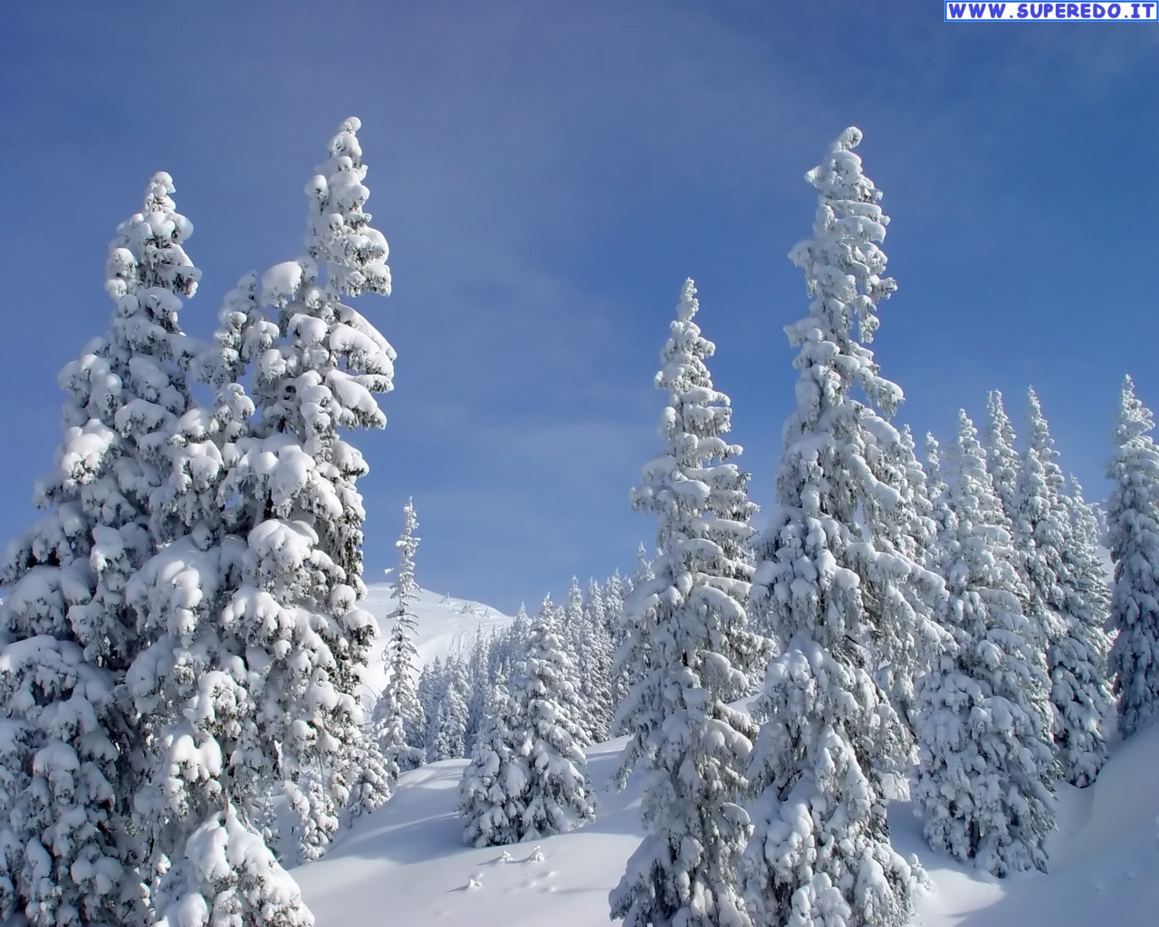 Geo - Conceição : TIPOS DE PRECIPITAÇÕES.
