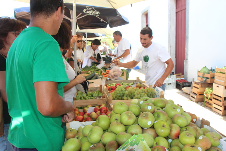 Sesimbra divulga a maçã camoesa este fim de semana