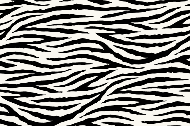 Amper Bae: zebra print backgrounds