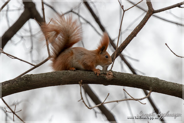 IMG_5719-1.jpg IMG_5719-1.jpg