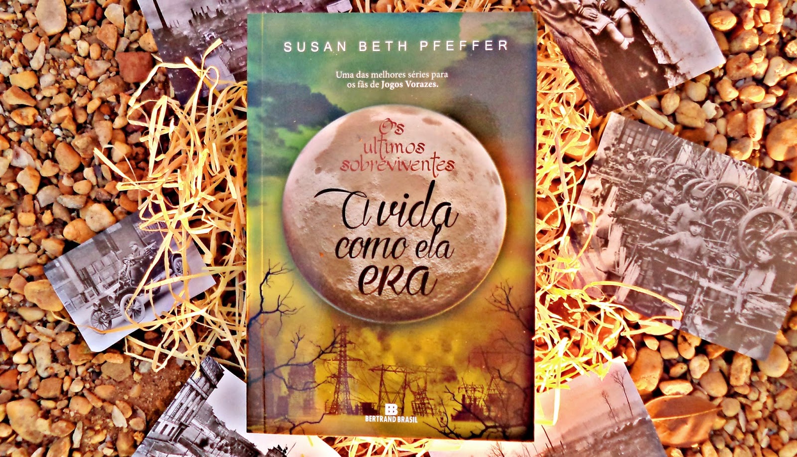 {Resenha} A Vida Como Ela Era — Susan Beth Pfeffer Palácio de Livros