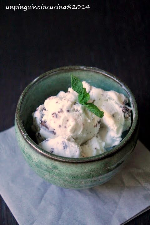 gelato latte-menta senza lattosio con scaglie di cioccolato