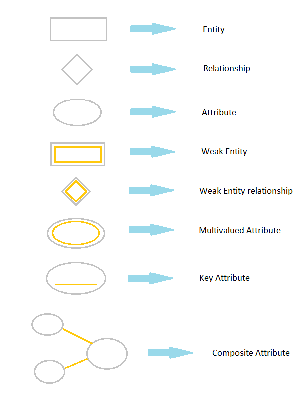 Notes On Dbms  Components Of Er Diagram