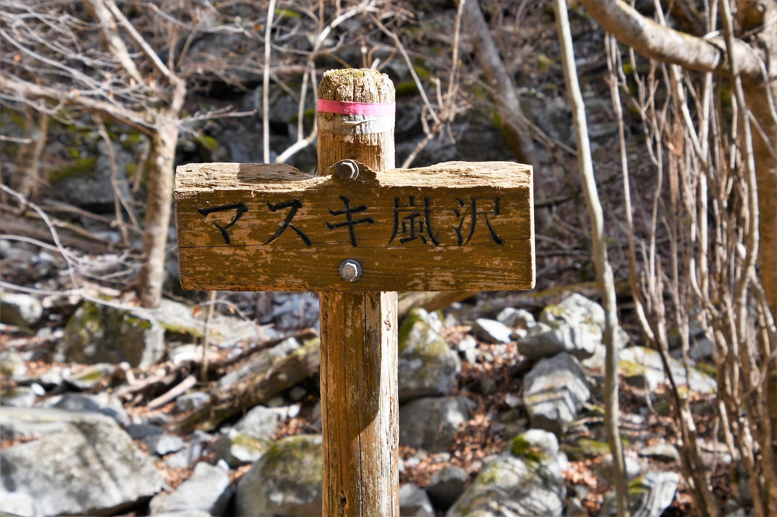 丹沢・大倉尾根 地獄棚