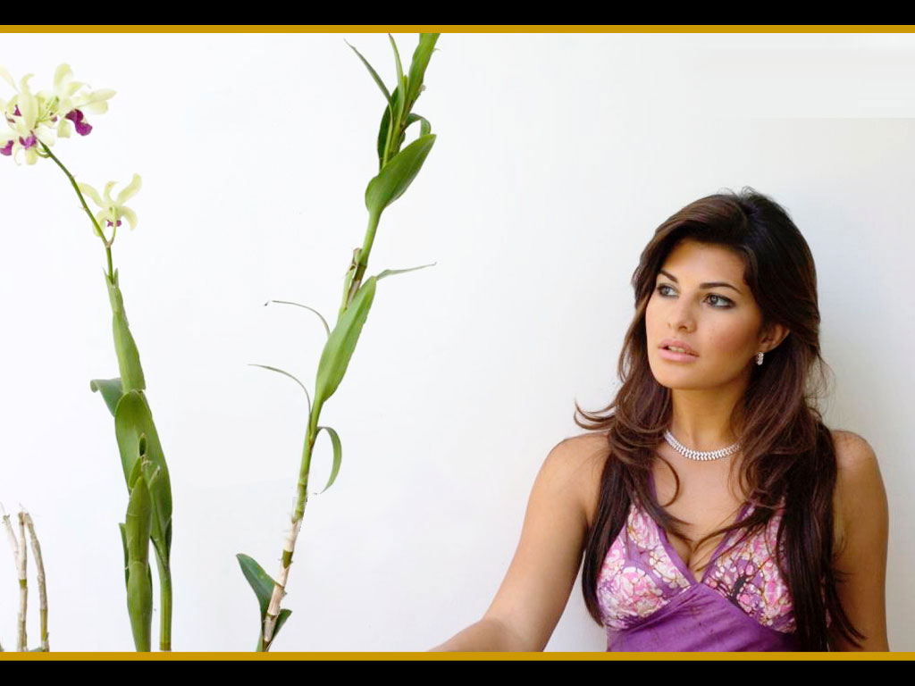 Jacqueline Fernandez Wallpapers Miss Sri Lanka