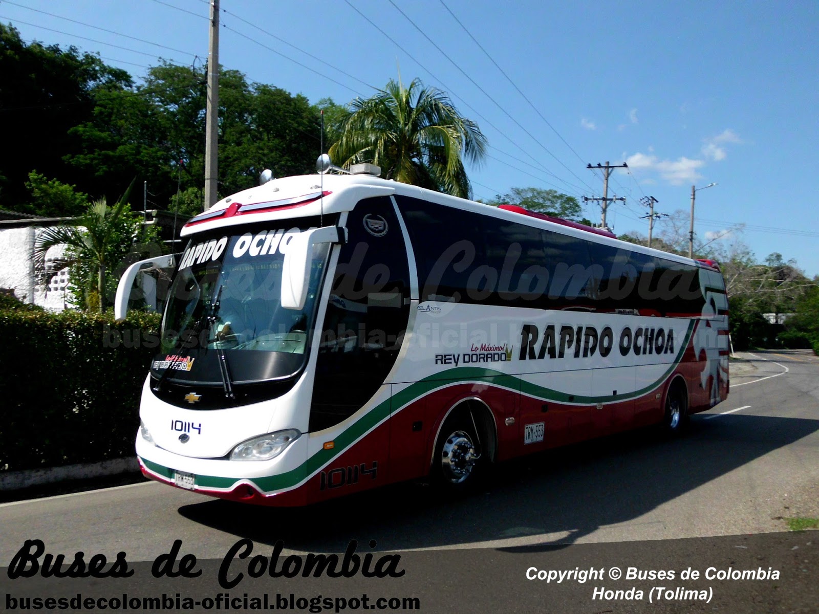 Rapido Ochoa 10114 Buses de Colombia Oficial