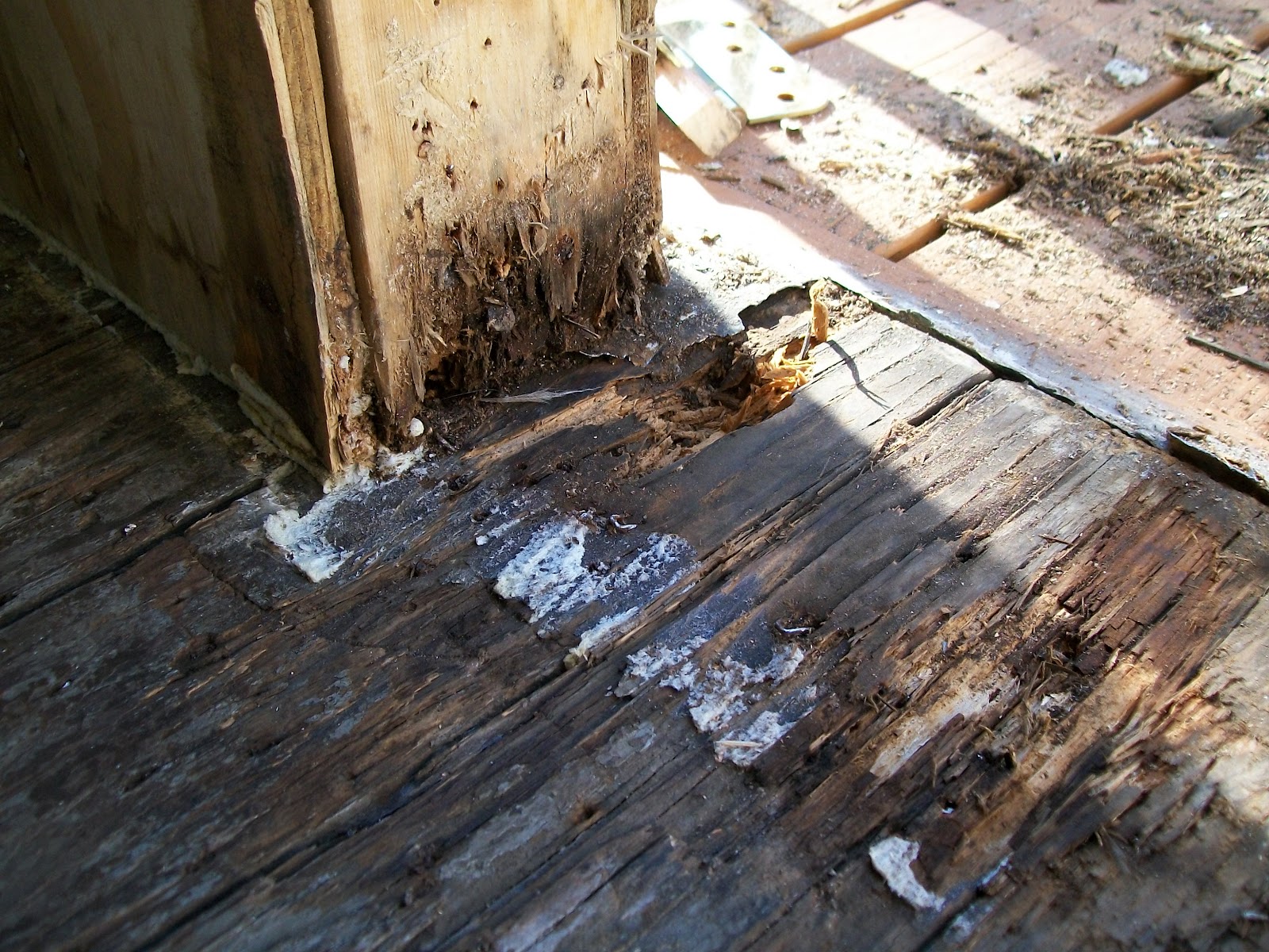 the Joshua Shively House "... you know it's your crummy old houses