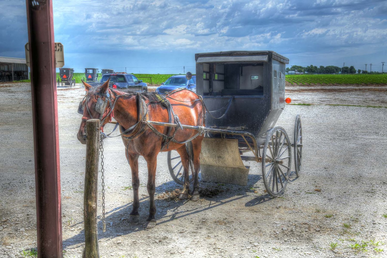 John and Sigrid's Adventures Jamesport, MO and the Produce Auction