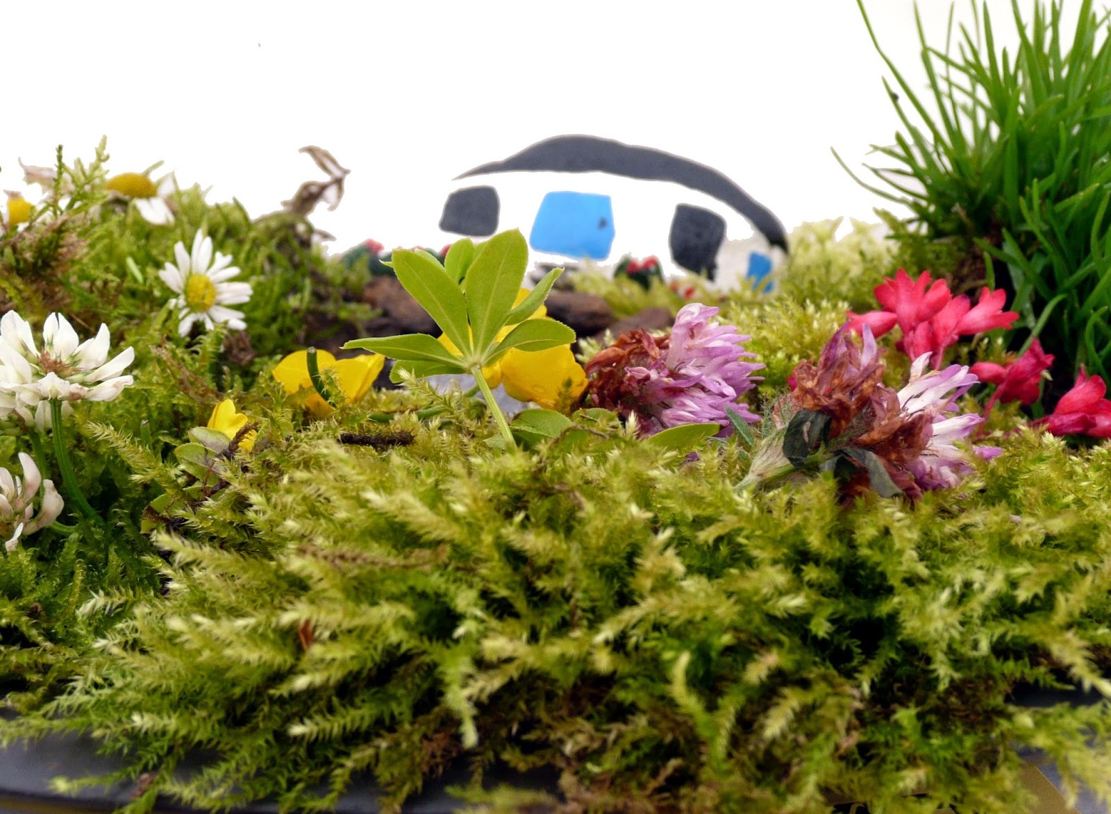 Memoirs of a Nutter - Illustrated: Part 4 - August 2012