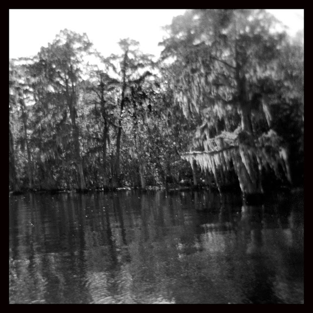 hickory hollar swamp song hickory hollar swamp song