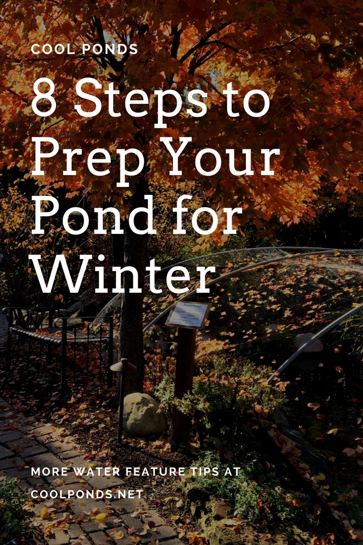 8 Steps to Prep Your Pond for Winter