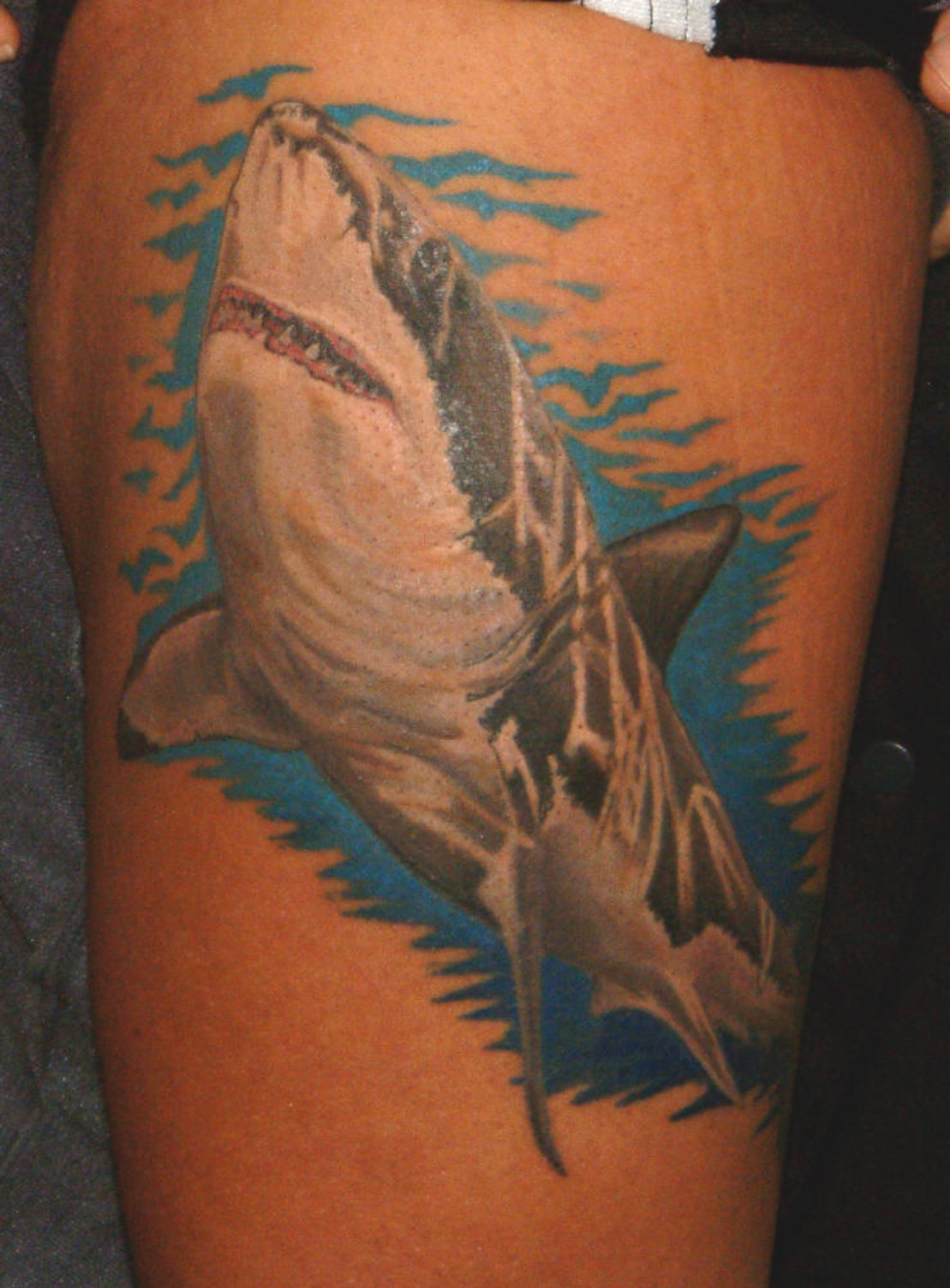 Shark Tattoo Pictures 103