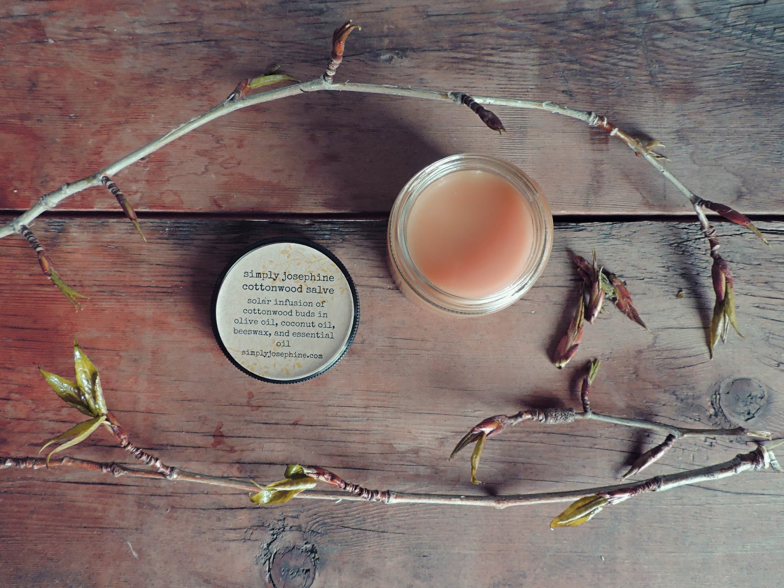 Cottonwood Bud Salve + Balm of Gilead + Healing Ointment
