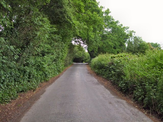 Nan Tuck's Lane