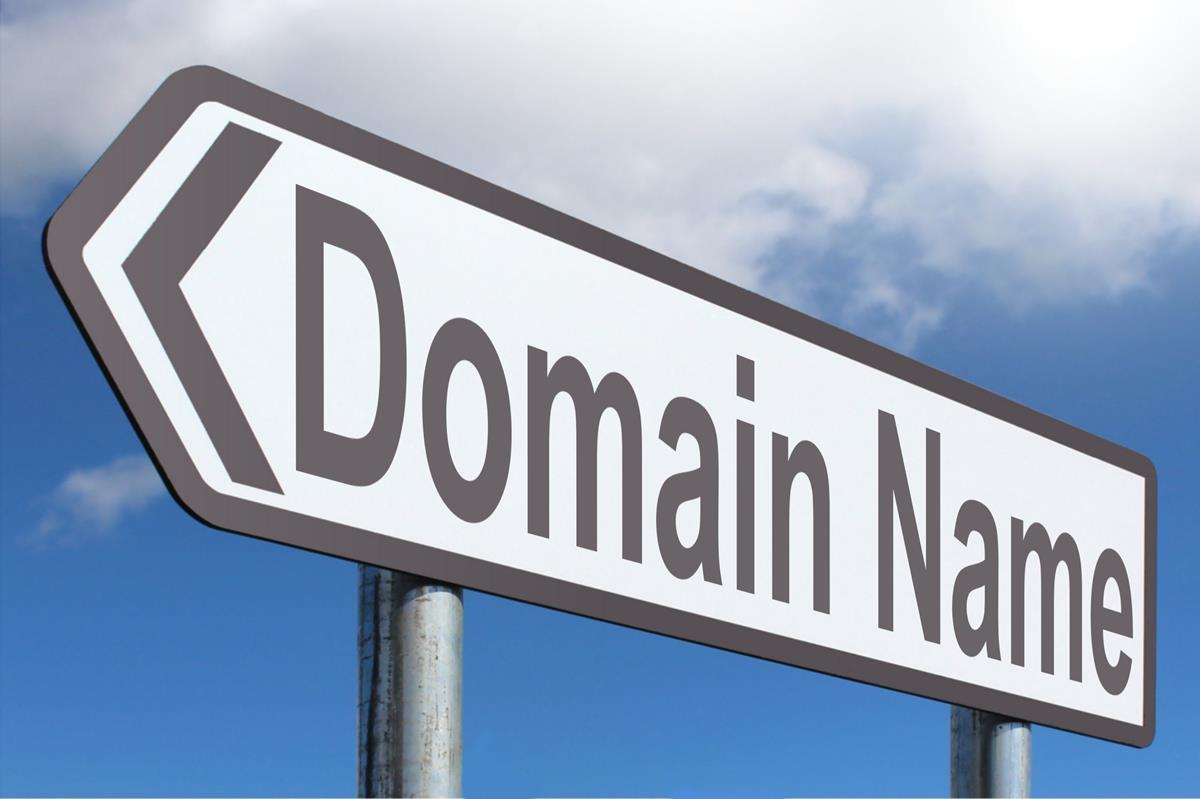 What are the PREMIUM DOMAINS? - Growide India