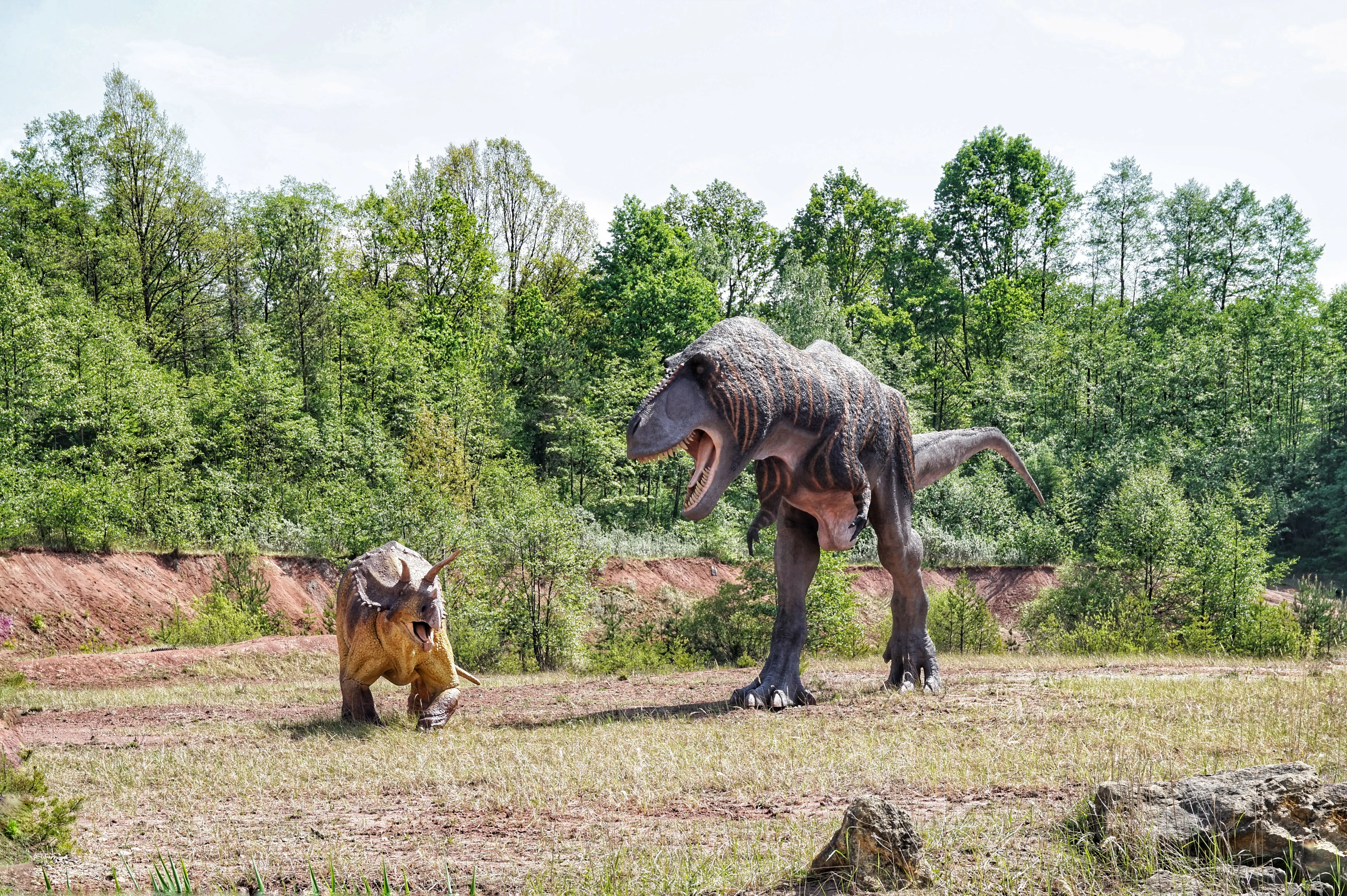 Jurapark Krasiejów - naturalnych rozmiarów modele dinozaurów, nowoczesne wystawy dotyczące ewolucji, podróż kolejką po „tunelu czasu” i kino 5D.