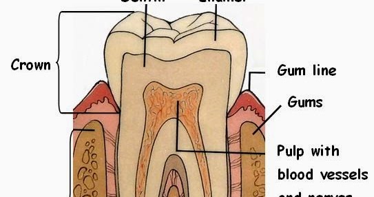Tooth Sensitivity