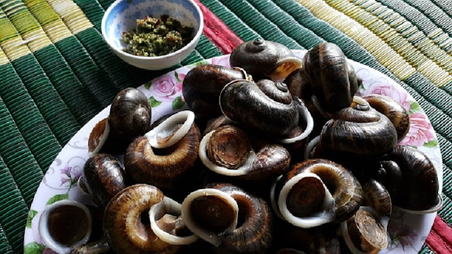 Suoi Bang rock snails - a delicacies not two 1