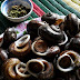 Suoi Bang rock snails - a delicacies not two