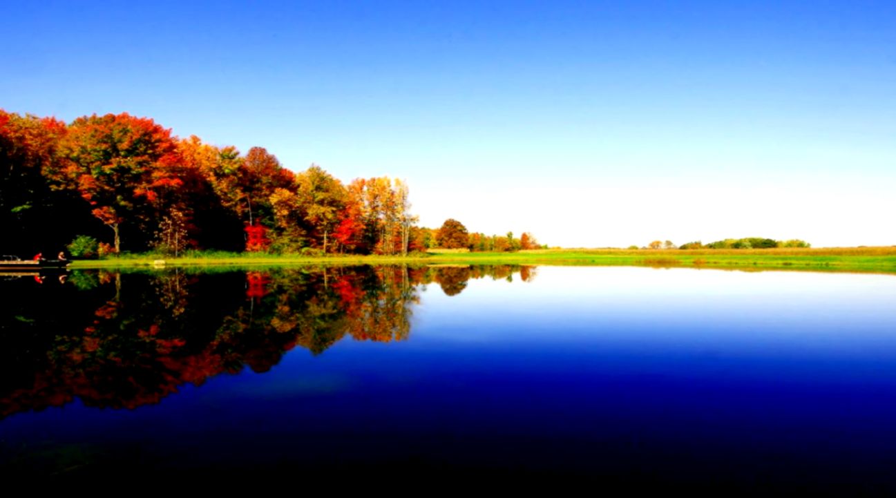 Summer Lake Dock Wallpaper   wallpaper