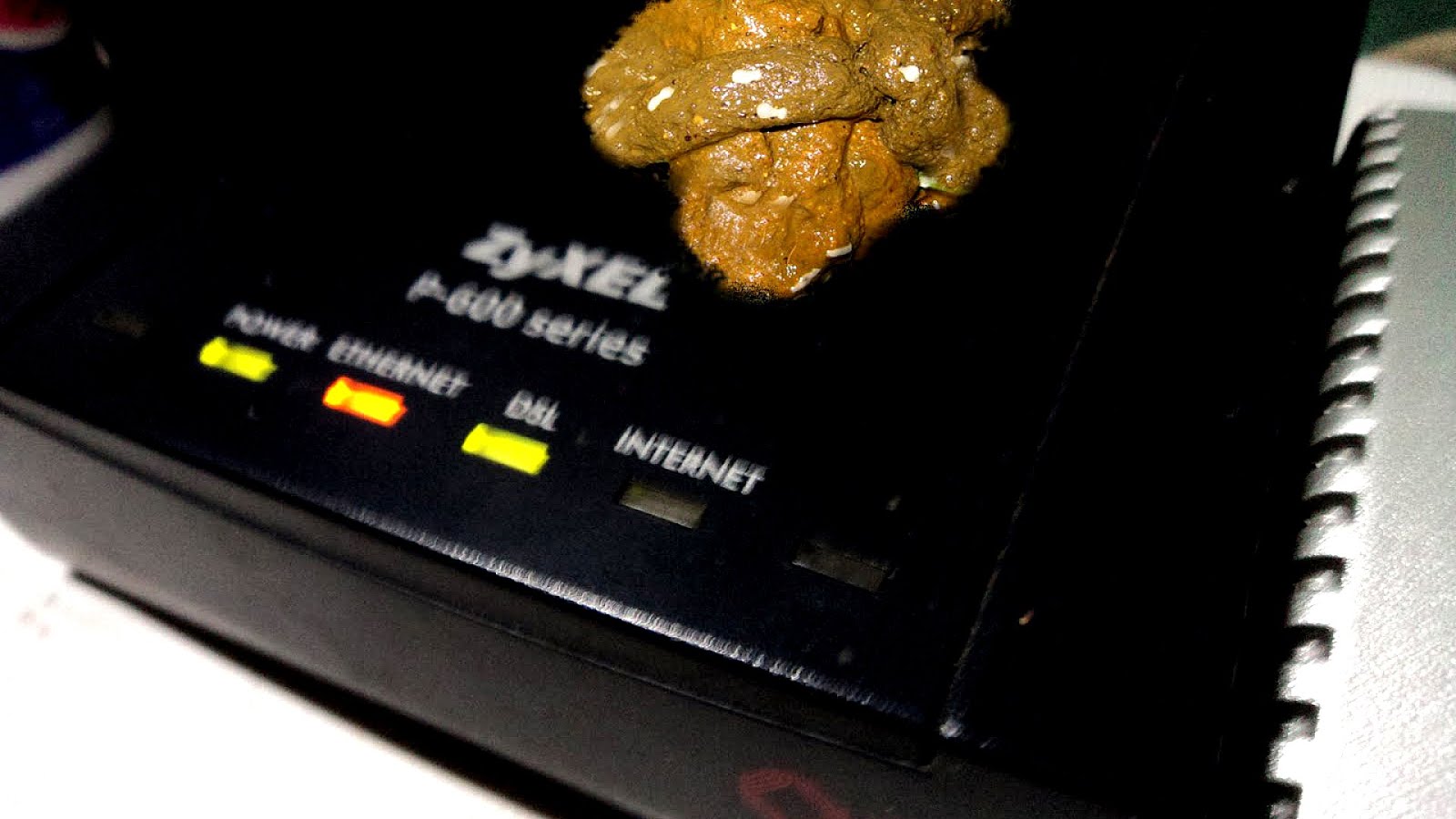 Toxoplasmosis Cat Poop Smell Cat Choices