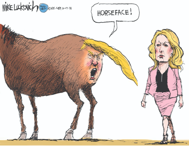 Image result for Stormy Daniels horse face