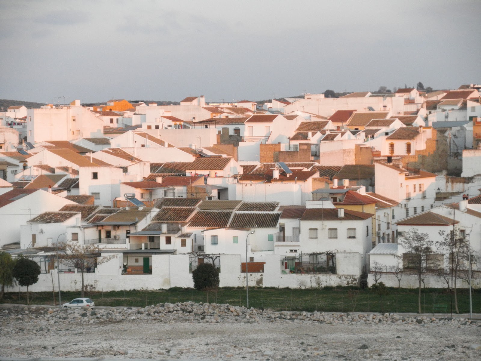 CRÓNICAS DE CASARICHE