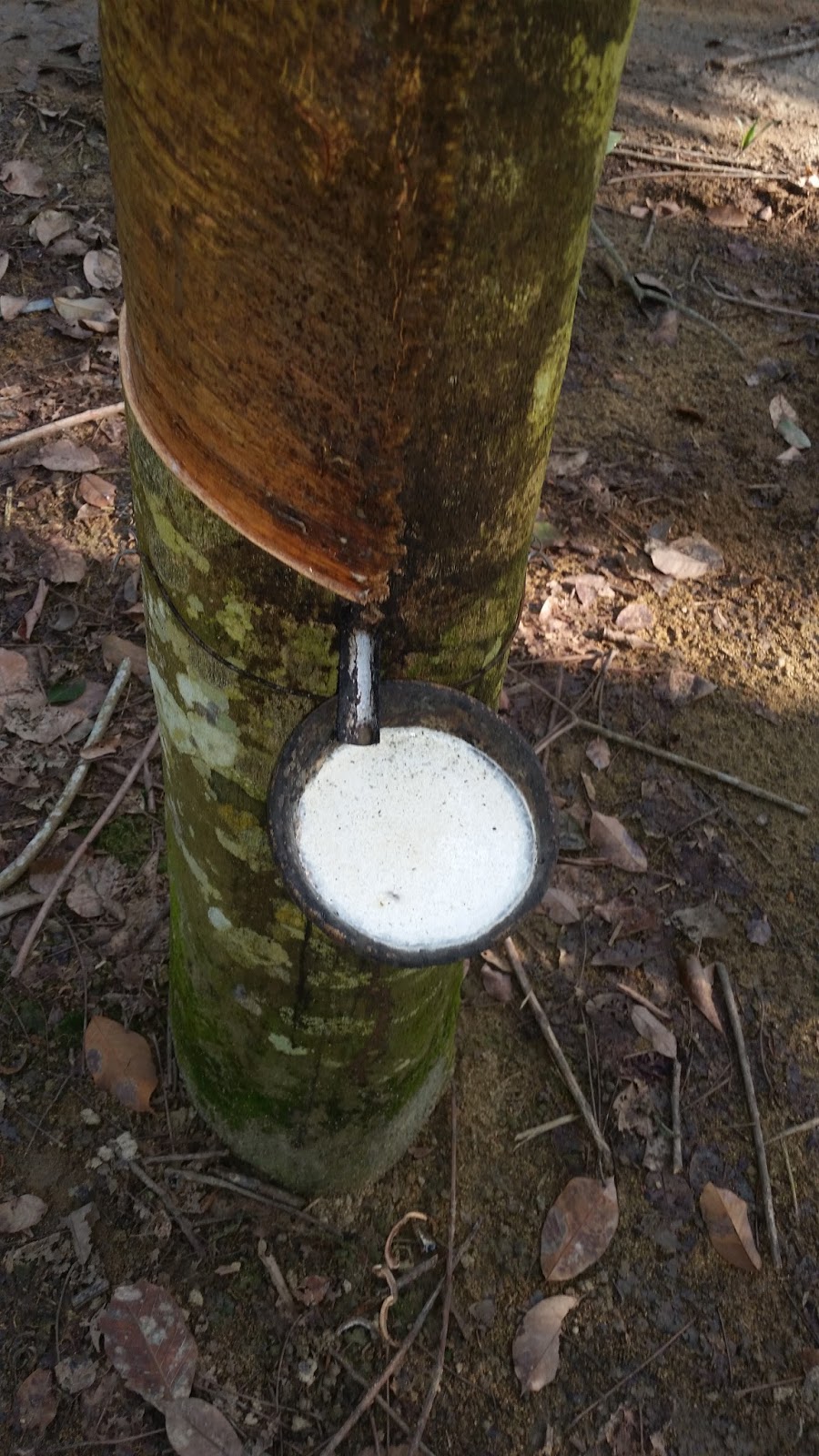 Gambar Merupakan Hasil Penorehan Alat Pada