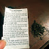 Woman Rips Out Bible Part Asking Wives To Be Submissive And Uses It To Smoke Weed