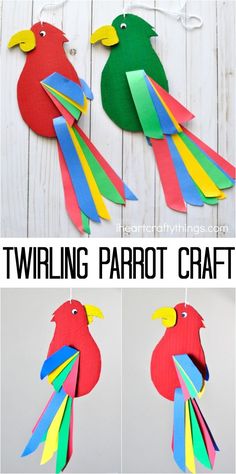 parrot images