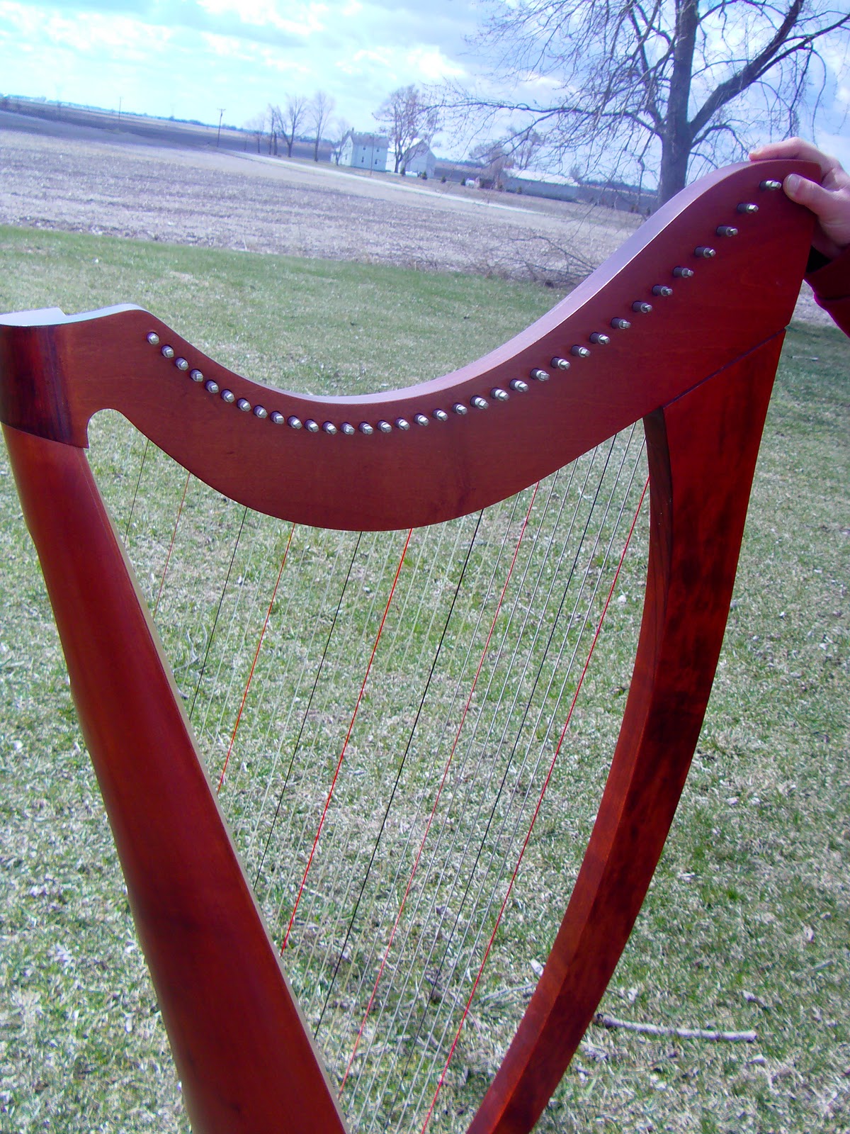 Harps For Sale Salvi Lever Harp For Sale