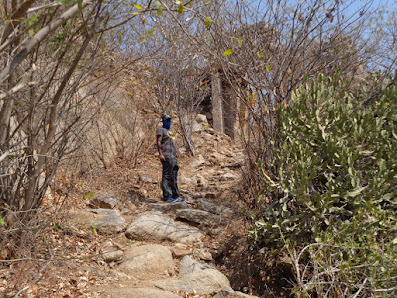 hiker navigates through the initial gateways through the forest. On a dry day, it is easy to get through this stretch.