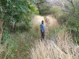 Moms standing amidst the grass on the Hutridurga trek.