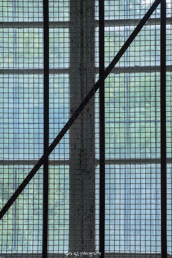 Forgotten And Magic Places: Antiguo Hospital Psiquiátrico