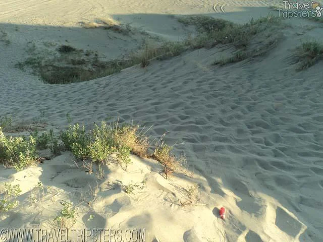 paoay sand dunes sandsurfing