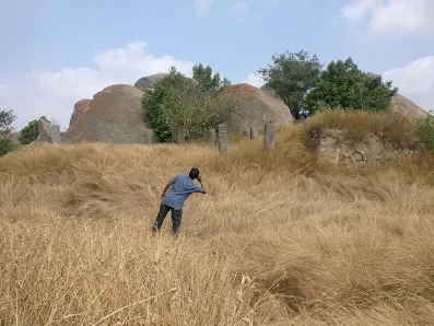 Final approach to the Shiva temple on the grassy top of Huthridurga Navadurga