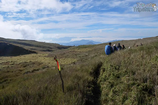 mount pulag