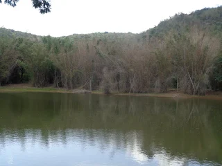 Sami Eari, a pond amidst the thick forest, a popular watering hole for animals.