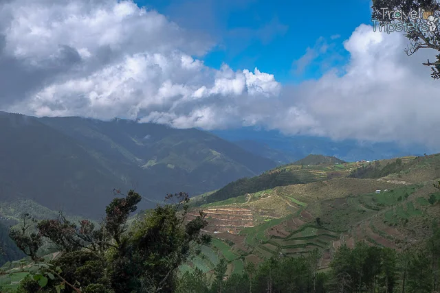 Cordillera Mountains and the Plantations