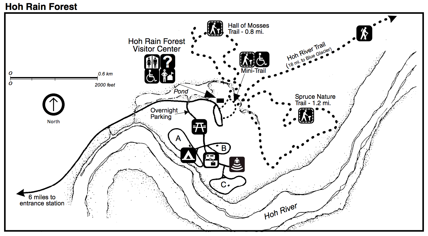 Hoh (Very Green) Rain Forest Trails