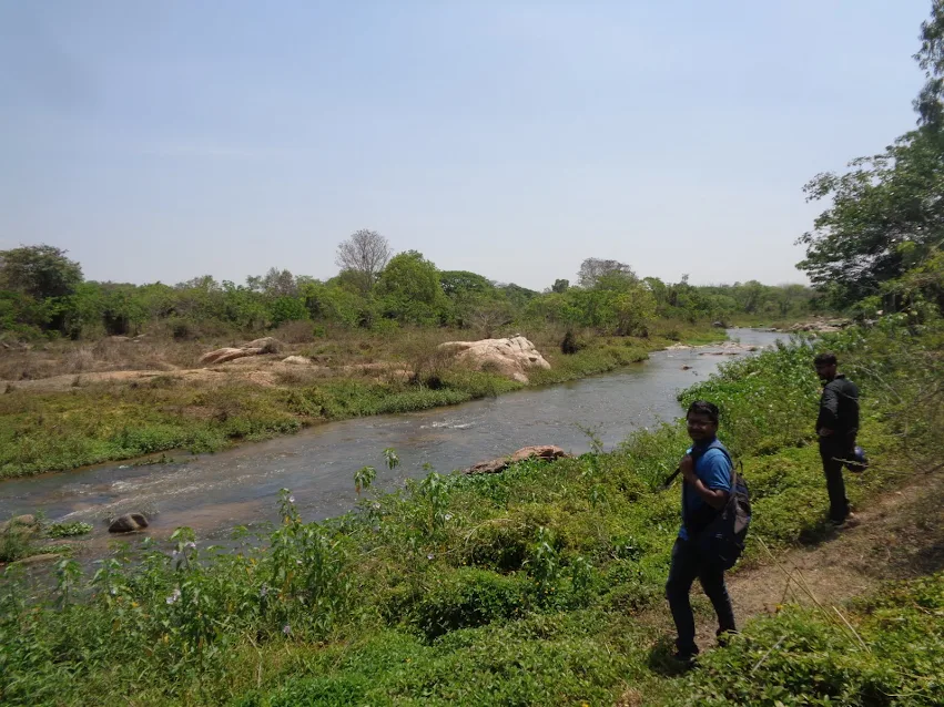 The scenic riverside view at Mahadevapura