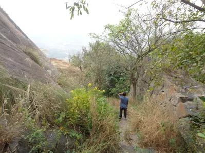 The trail is clear on the trek, but here you see Ashok confused.