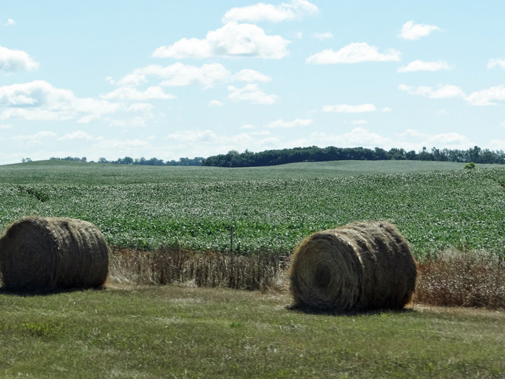 Reflections From the Fence Jamestown North Dakota to Itasca Minnesota