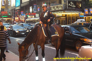Policía a caballo en Nueva York
