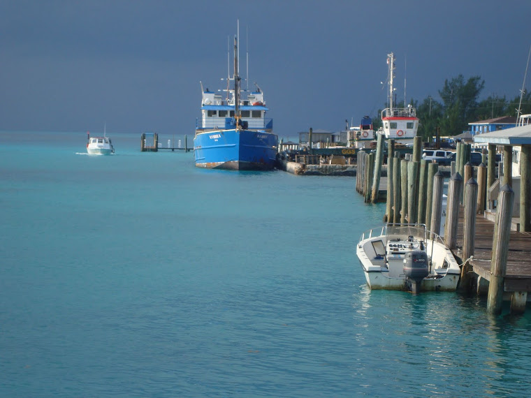 The Dock in Bimini