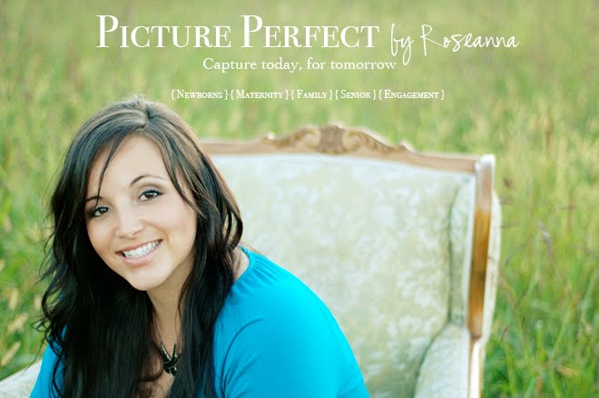 Picture Perfect by Roseanna
